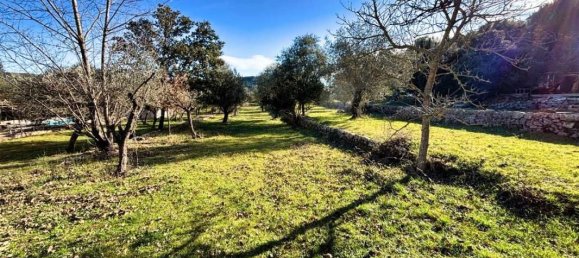 Terrain à Correns, France 1412m² No. 193757 5