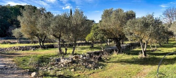 Terrain à Correns, France 1412m² No. 193757 3