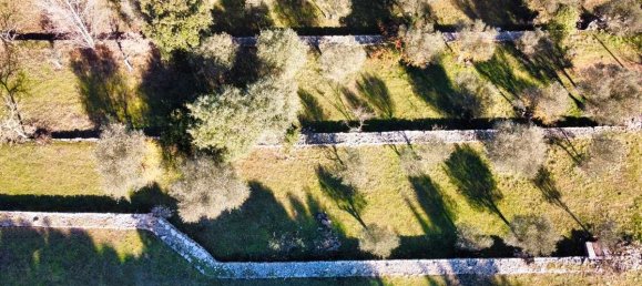 Terrain à Correns, France 1412m² No. 193757 2