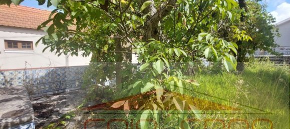 10 bedrooms House in Maiorca, Portugal No. 73021 31