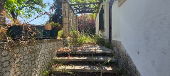 10 bedrooms House in Maiorca, Portugal No. 73021 46