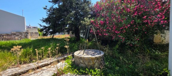 10 bedrooms House in Maiorca, Portugal No. 73021 47