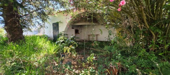 10 bedrooms House in Maiorca, Portugal No. 73021 48