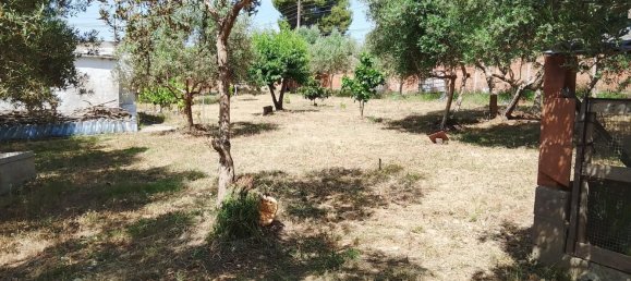1m² Land in Sant Llorenc D'hortons, Spain No. 165815 11