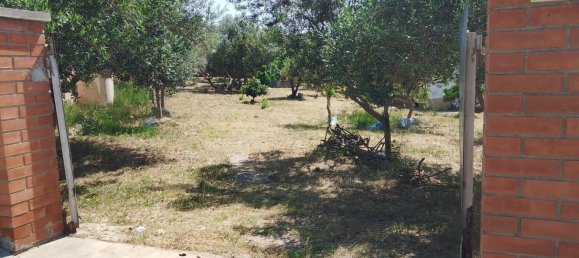 1m² Land in Sant Llorenc D'hortons, Spain No. 165815 19