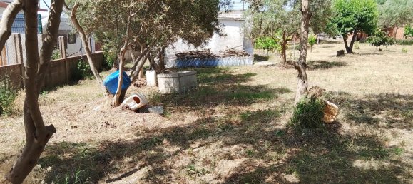 1m² Land in Sant Llorenc D'hortons, Spain No. 165815 12