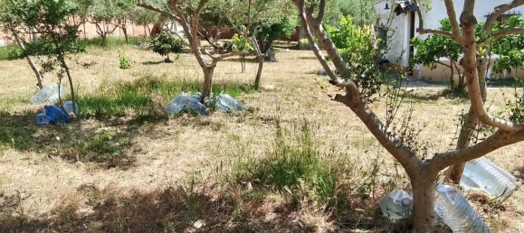 1m² Land in Sant Llorenc D'hortons, Spain No. 165815 7