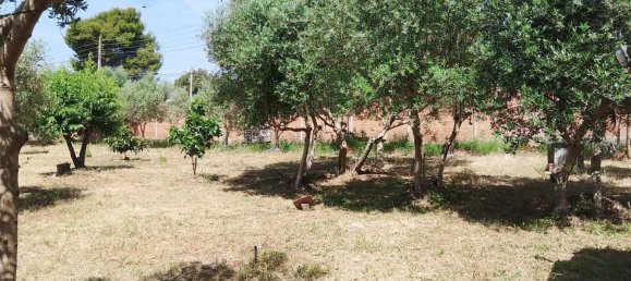 1m² Land in Sant Llorenc D'hortons, Spain No. 165815 13