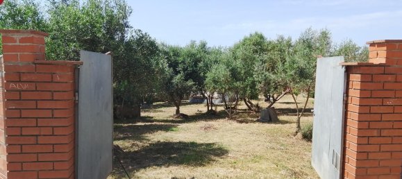 1m² Land in Sant Llorenc D'hortons, Spain No. 165815 14