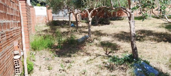 1m² Land in Sant Llorenc D'hortons, Spain No. 165815 6