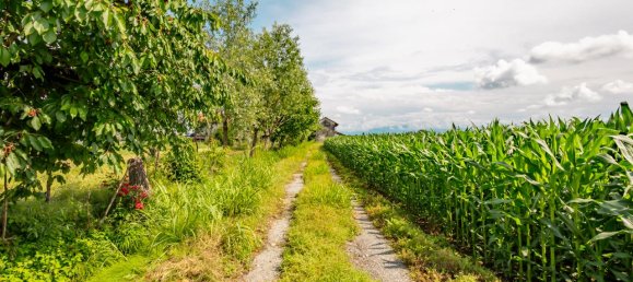 Дом с 4 комнатами в Фоссано, Италия № 112267 4