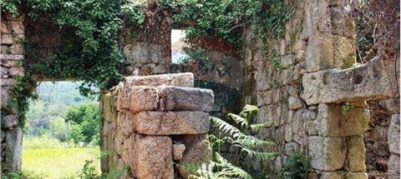 4 bedrooms House in Vieira do Minho, Portugal No. 181426 2