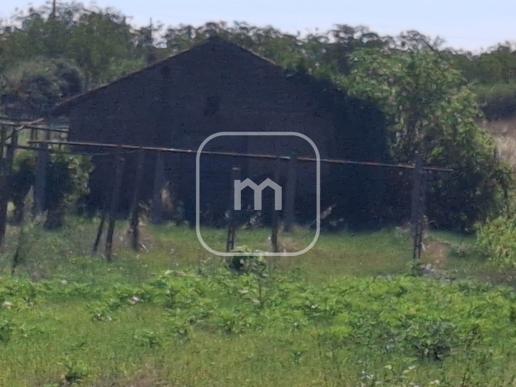 1 Schlafzimmer Haus in Zagarolo, Italy, Nr. 381383