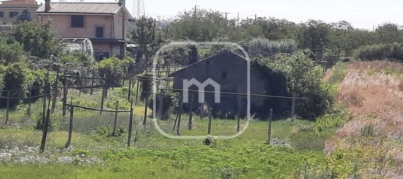 1 Schlafzimmer Haus in Zagarolo, Italy, Nr. 381383 2