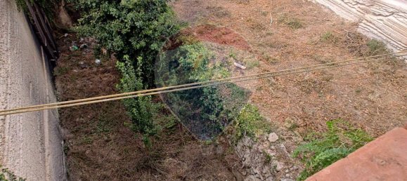 1 Schlafzimmer Haus in Favignana, Italy, Nr. 308734 16