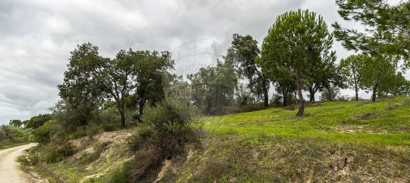 14750m² Land in Cabecao, Portugal No. 90321 6