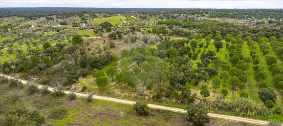 14750m² Land in Cabecao, Portugal No. 90321 9