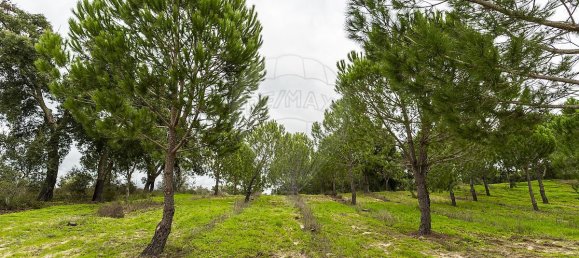 14750m² Land in Cabecao, Portugal No. 90321 13