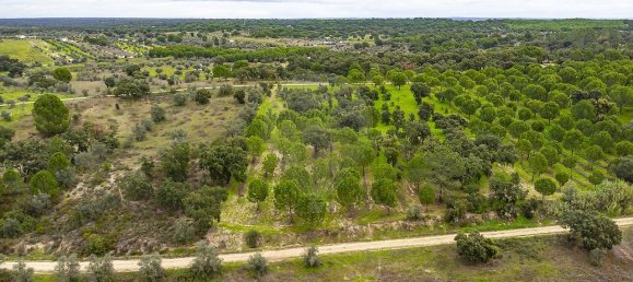 14750m² Land in Cabecao, Portugal No. 90321 10