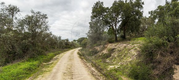 14750m² Land in Cabecao, Portugal No. 90321 11