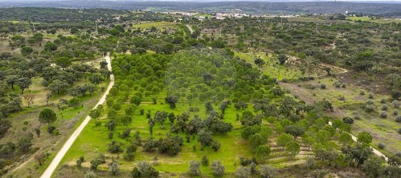 14750m² Land in Cabecao, Portugal No. 90321 7
