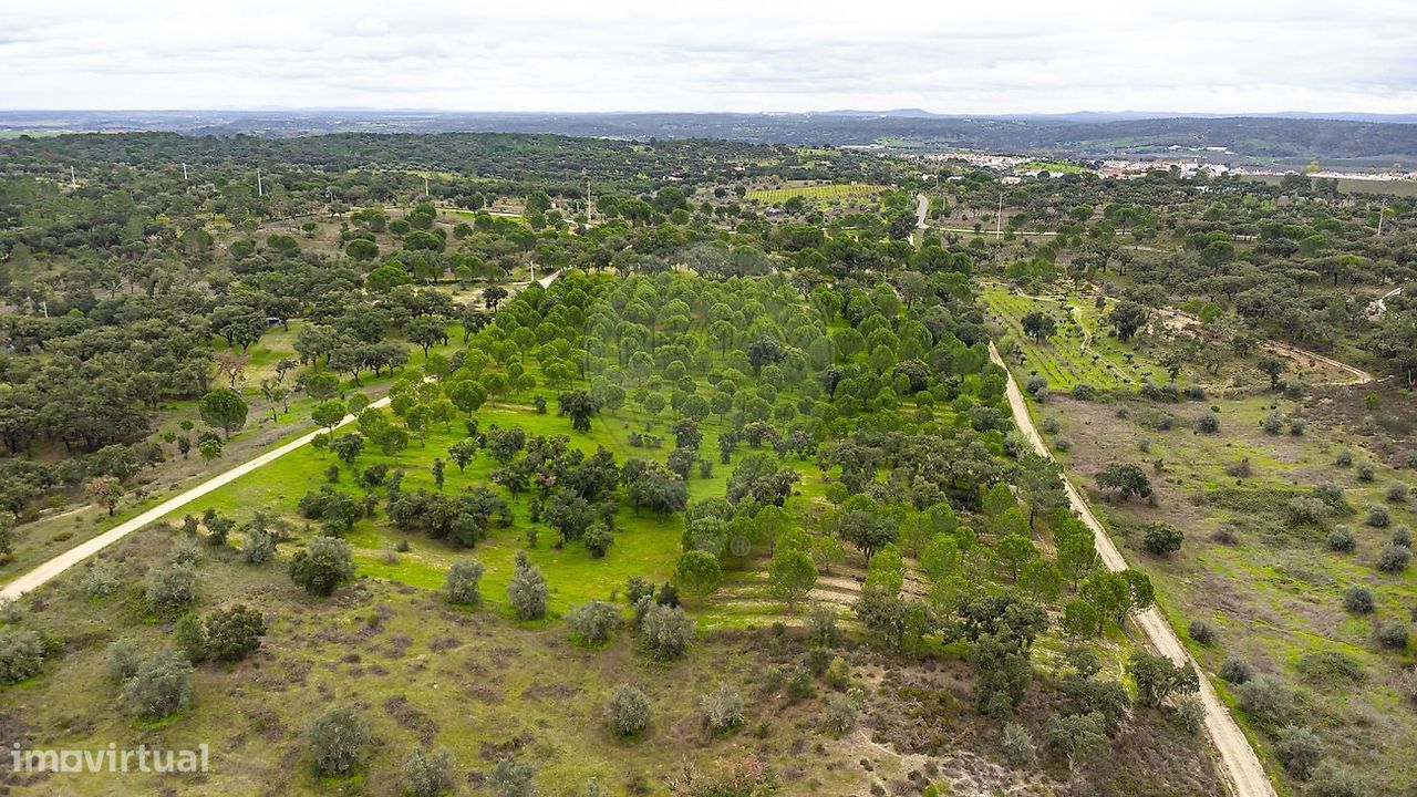 14750m² Land in Cabecao, Portugal No. 90321