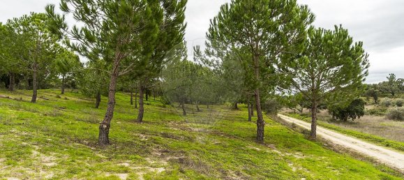 14750m² Land in Cabecao, Portugal No. 90321 4