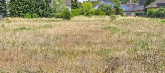 Grundstück in Börde, Germany, Nr. 349055 2