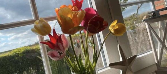 1 Schlafzimmer Stadthaus in Dithmarschen, Germany, Nr. 16755 14