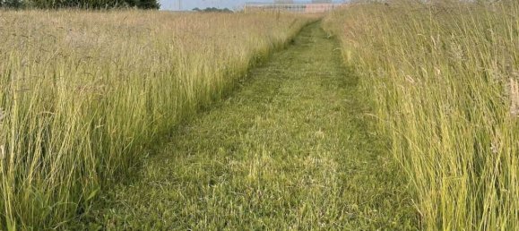 1 Schlafzimmer Stadthaus in Dithmarschen, Germany, Nr. 16755 9