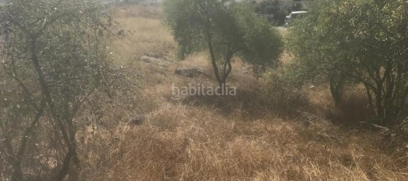  قطعة أرض في El Molar, Spain 13891متر مربع رقم 81887 9