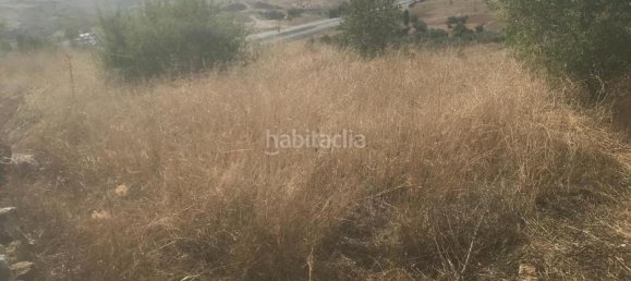  قطعة أرض في El Molar, Spain 13891متر مربع رقم 81887 8