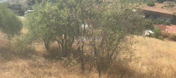  قطعة أرض في El Molar, Spain 13891متر مربع رقم 81887 10