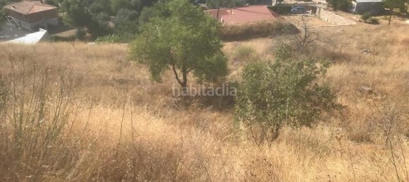  قطعة أرض في El Molar, Spain 13891متر مربع رقم 81887 6