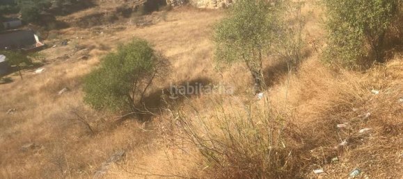  قطعة أرض في El Molar, Spain 13891متر مربع رقم 81887 7