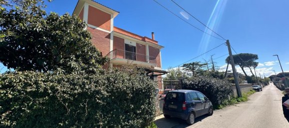 2 rooms Apartment in Albano Laziale, Italy No. 60831 22