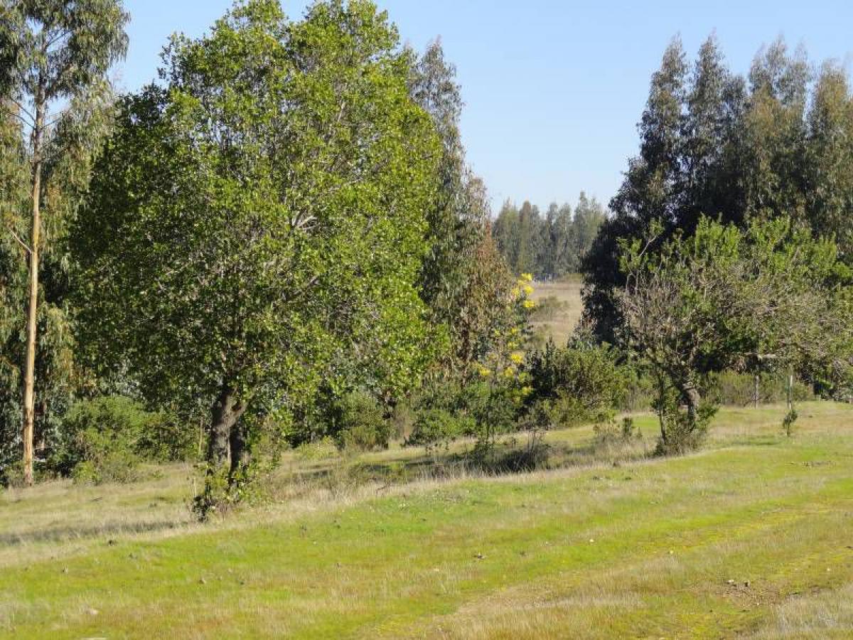  Land in Valparaiso, Chile No. 1331