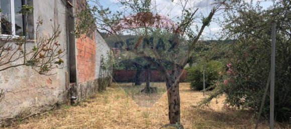 3 bedrooms House in Tabua, Portugal No. 34480 12