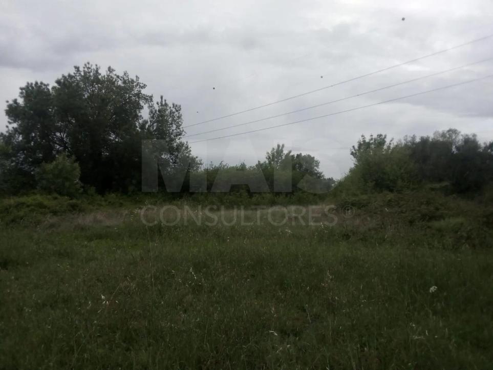  Land in Torres Novas, Portugal No. 287573