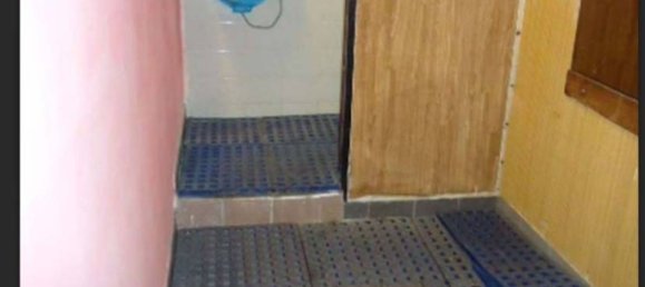 Gewerbliche Immobilie in Artena, Italy 408m², Nr. 274364 12