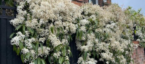 2 bedrooms Apartment in London, United Kingdom No. 10470 10