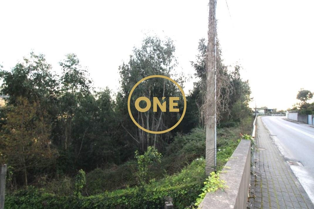 4000m² Land in Ruilhe, Portugal No. 24703