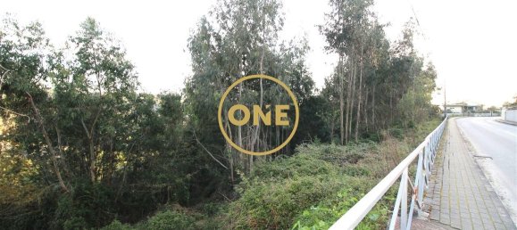 4000m² Land in Ruilhe, Portugal No. 24703 4