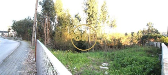 4000m² Land in Ruilhe, Portugal No. 24703 3