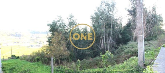 4000m² Land in Ruilhe, Portugal No. 24703 6