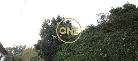 4000m² Land in Ruilhe, Portugal No. 24703 7