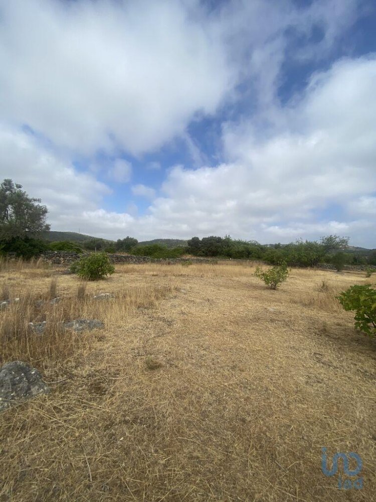 10000m² Land in Sao Bras de Alportel, Portugal No. 257791
