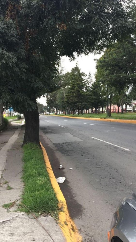  Land in San Buenaventura, Mexico No. 203745