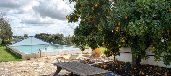 6 غرف نوم منزل في Borba, Portugal رقم 95480 8