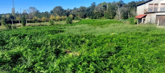 Grundstück in Fiscal, Portugal, Nr. 161978 3